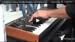 Видео-презентация аналогового синтезатора Dave Smith Mopho x4